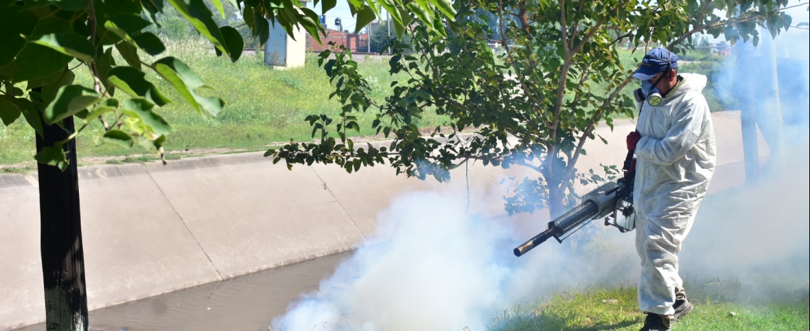 Dengue: fumigación en barrios de Florencio Varela